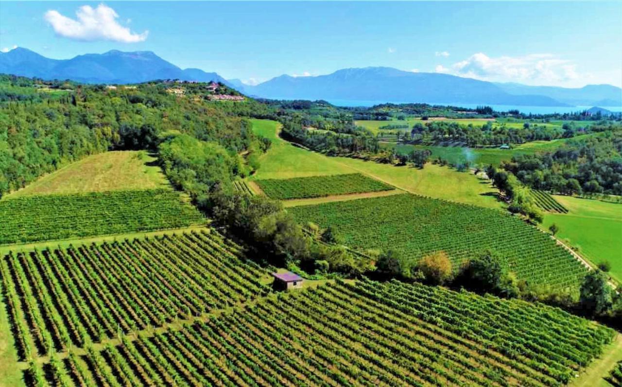 Agriturismo La Guarda Picedo Exteriör bild